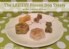 The 5 LAZIEST Frozen Dog Treat Recipes in the History of Ever